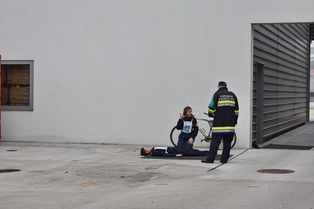 FJLA Gold 20181110 Lfs Tulln 031