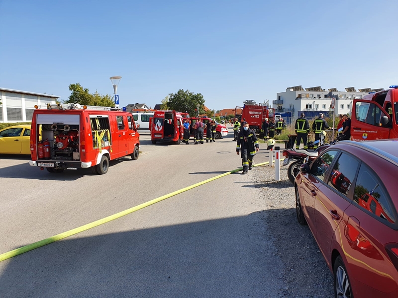 WhatsApp Image 2020-09-20 at 13.39.52