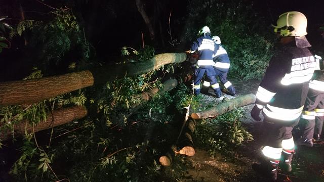 Sturmschaden Orth 10082017