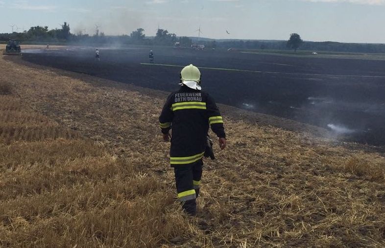 Flurbrand Orth 19jul2017 2